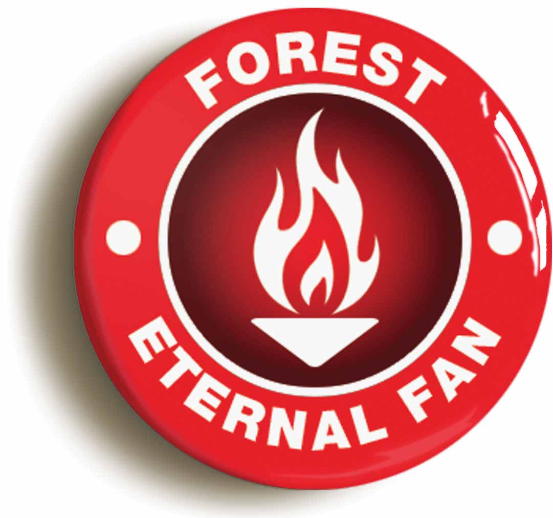 A picture of a button badge