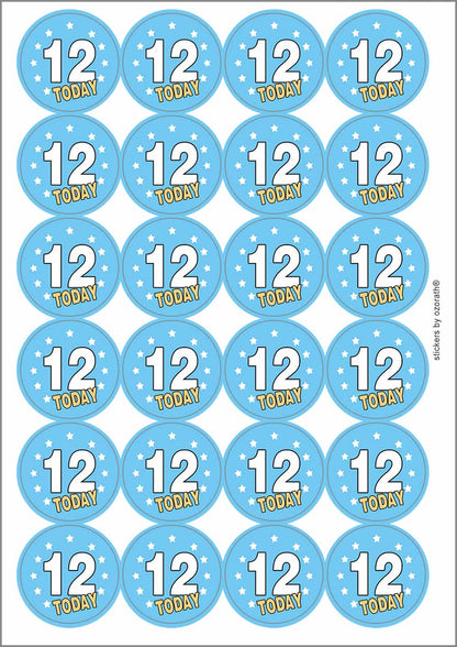 A picture of an A4 sheet of matte paper stickers