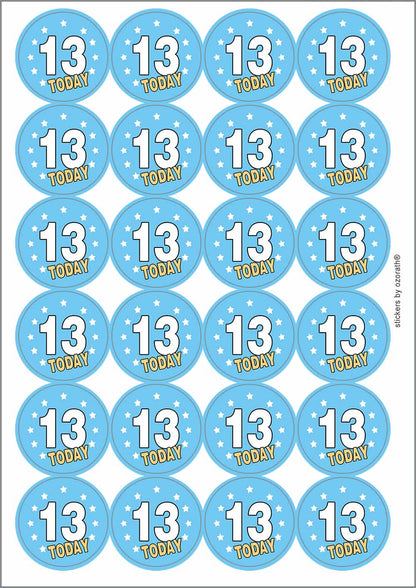 A picture of an A4 sheet of matte paper stickers