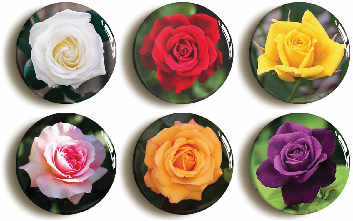 A picture of a set of six badges