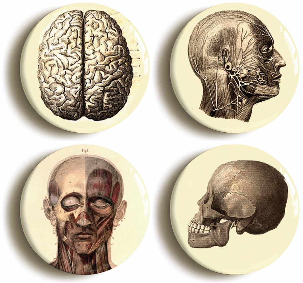 A picture of a set of four badges