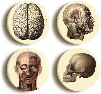A picture of a set of four badges