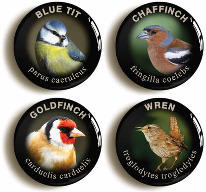 A picture of a set of four badges
