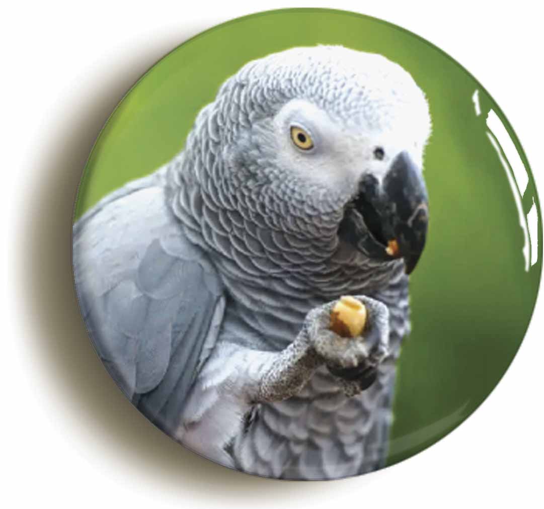 A picture of a button badge