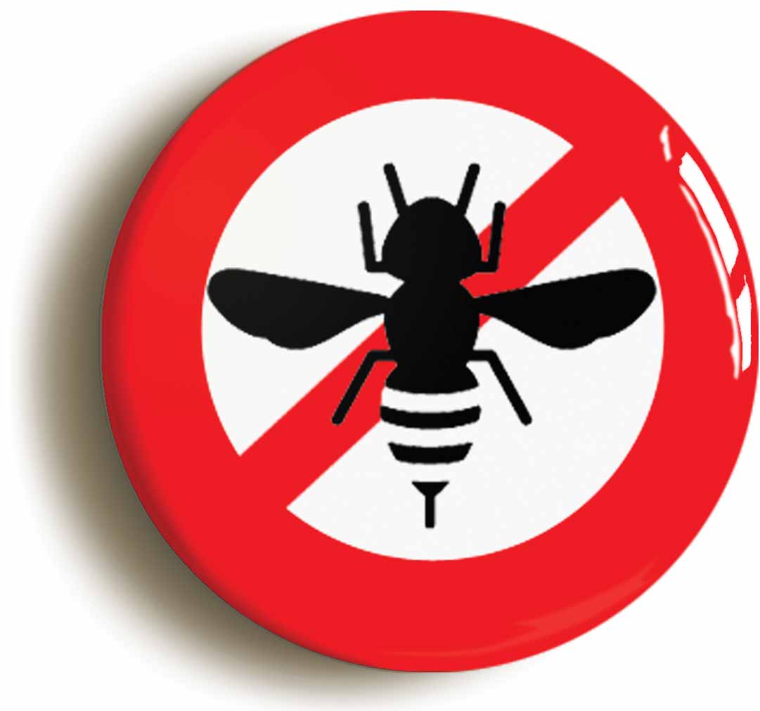 A picture of the front of the product, titled Anti Wasp Funny Button Pin Badge