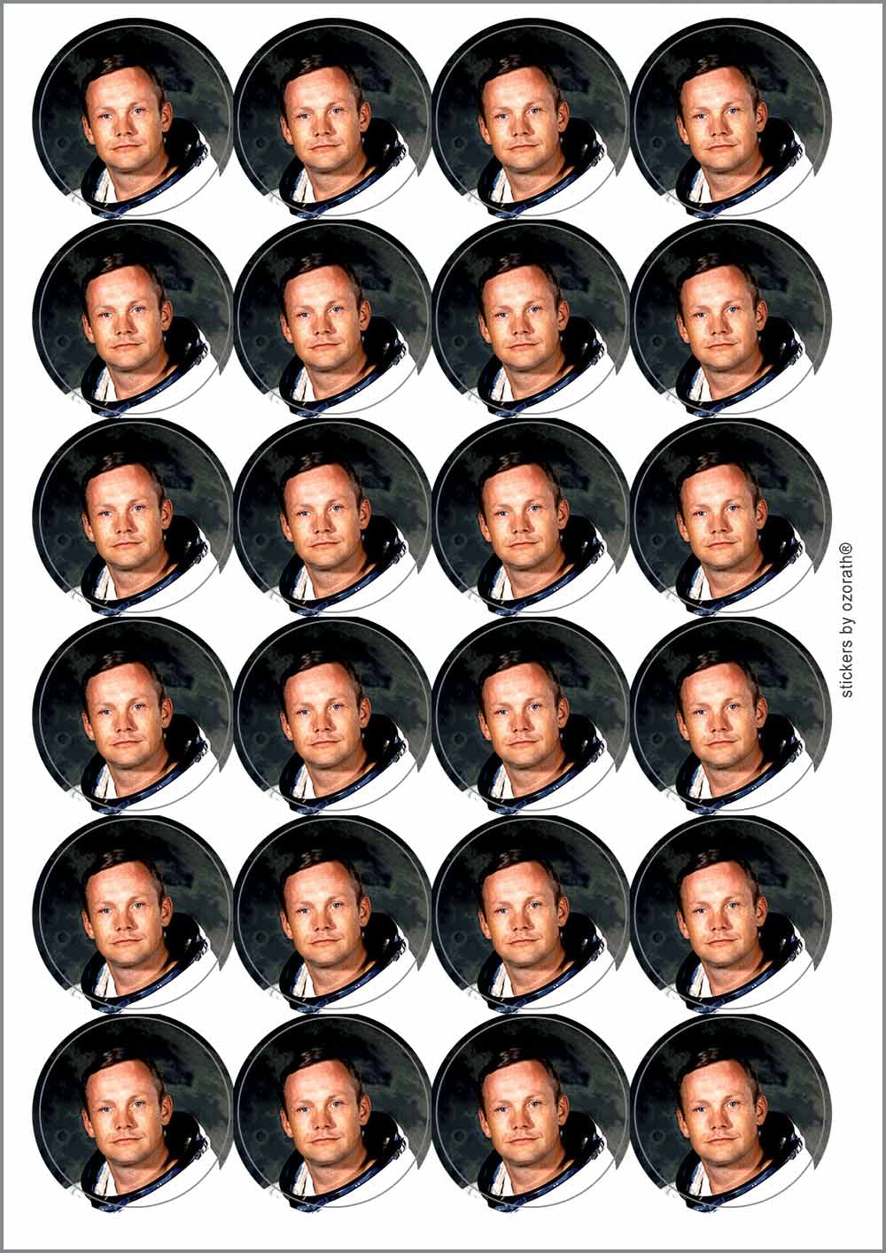 A picture of an A4 sheet of matte paper stickers