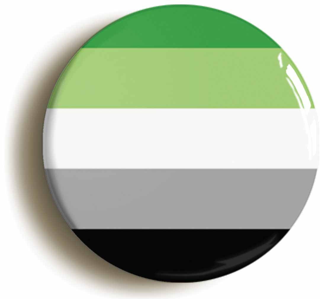 A picture of the front of the product, titled Aromantic Pride Flag Button Pin Badge