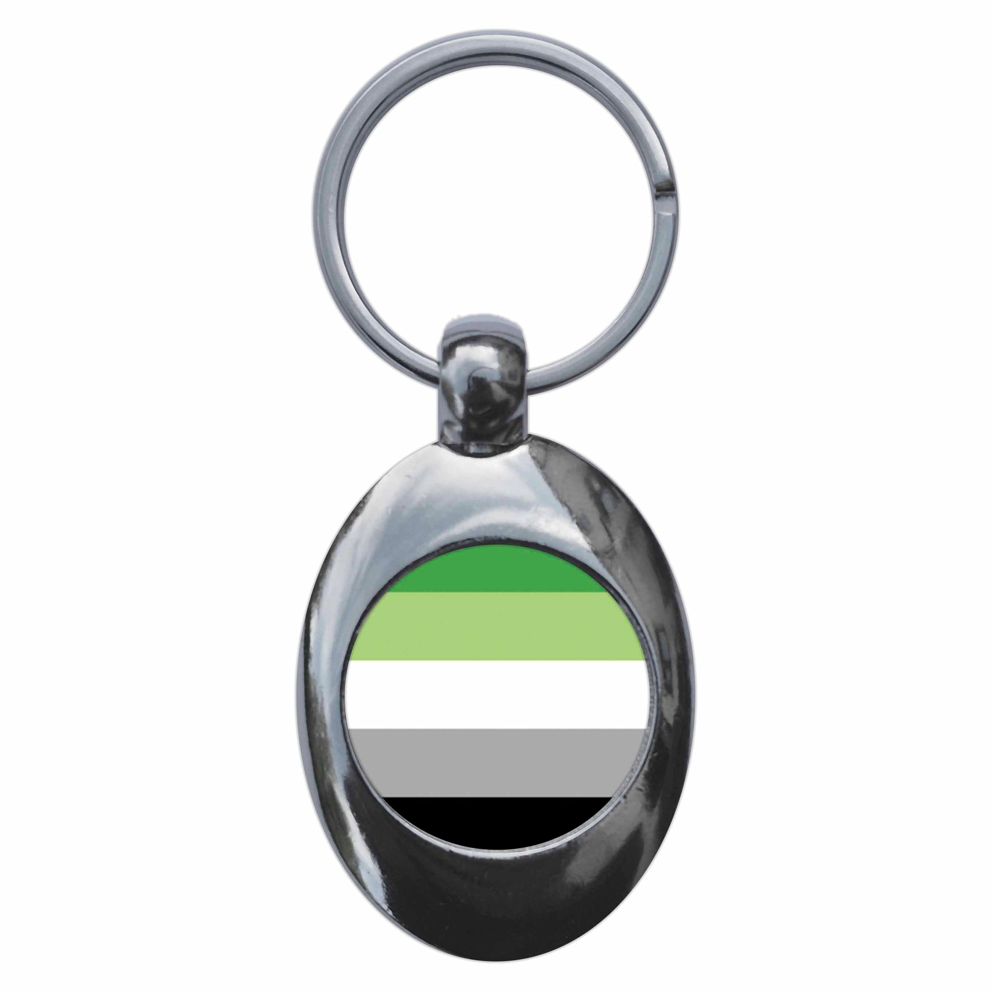 A picture of the front of the product, titled Aromantic Pride Flag Metal Keyring With Trolley Coin