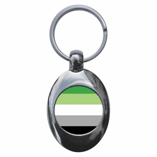 A picture of the front of the product, titled Aromantic Pride Flag Metal Keyring With Trolley Coin
