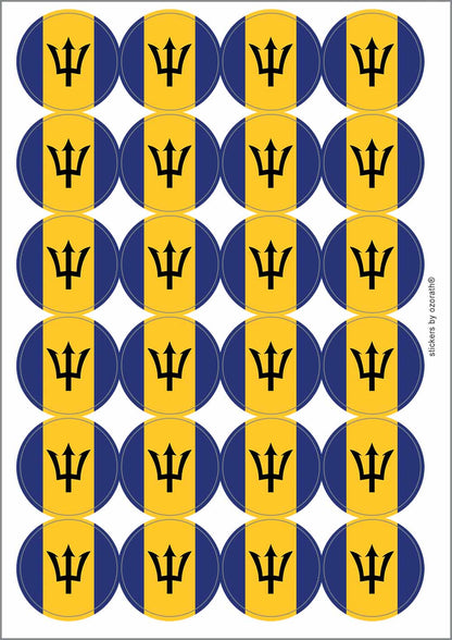 A picture of an A4 sheet of matte paper stickers
