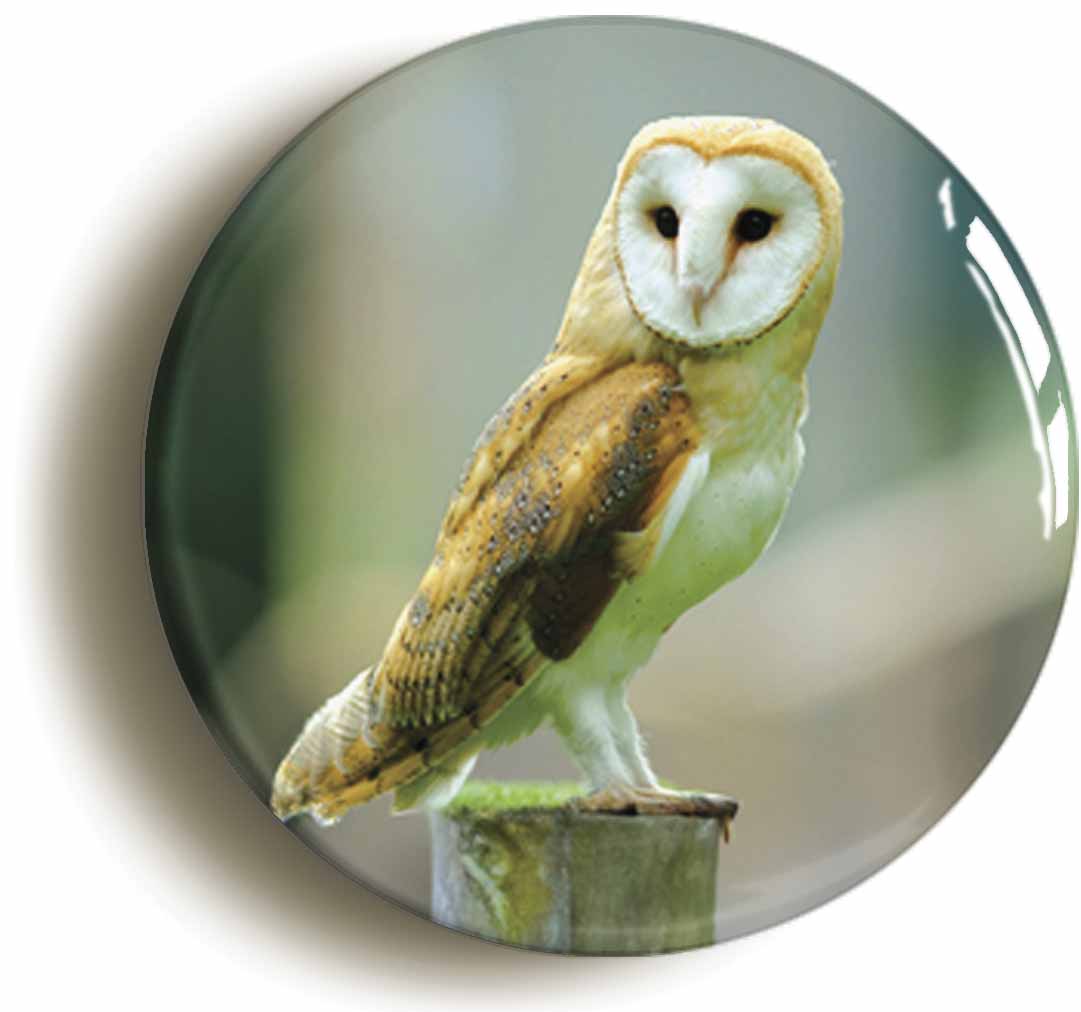 A picture of a button badge