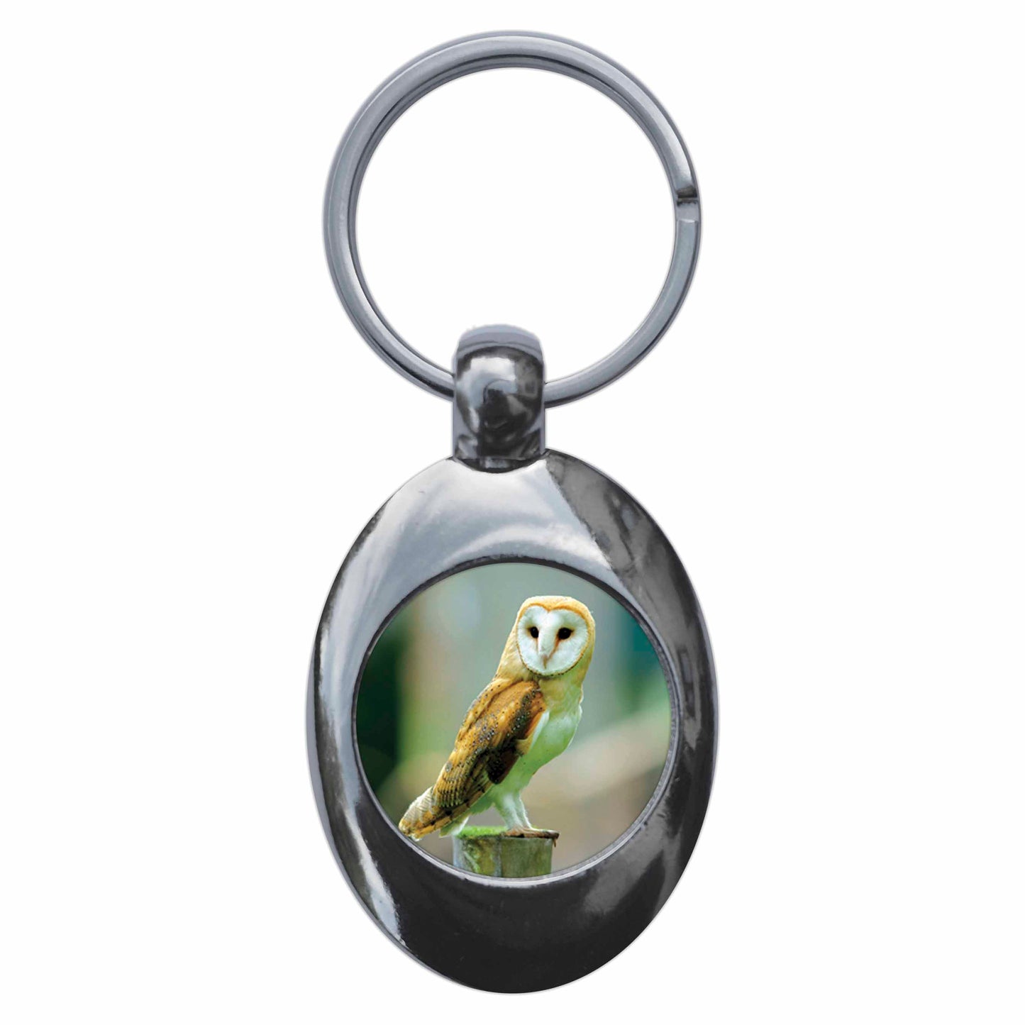 A picture of the front of the product, titled Barn Owl Metal Keyring With Trolley Coin