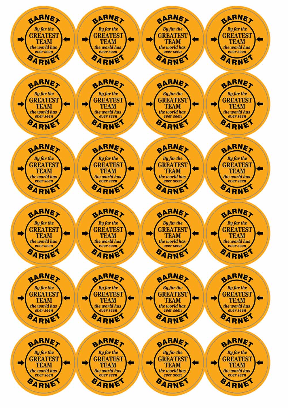 A picture of an A4 sheet of matte paper stickers