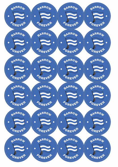 A picture of an A4 sheet of matte paper stickers