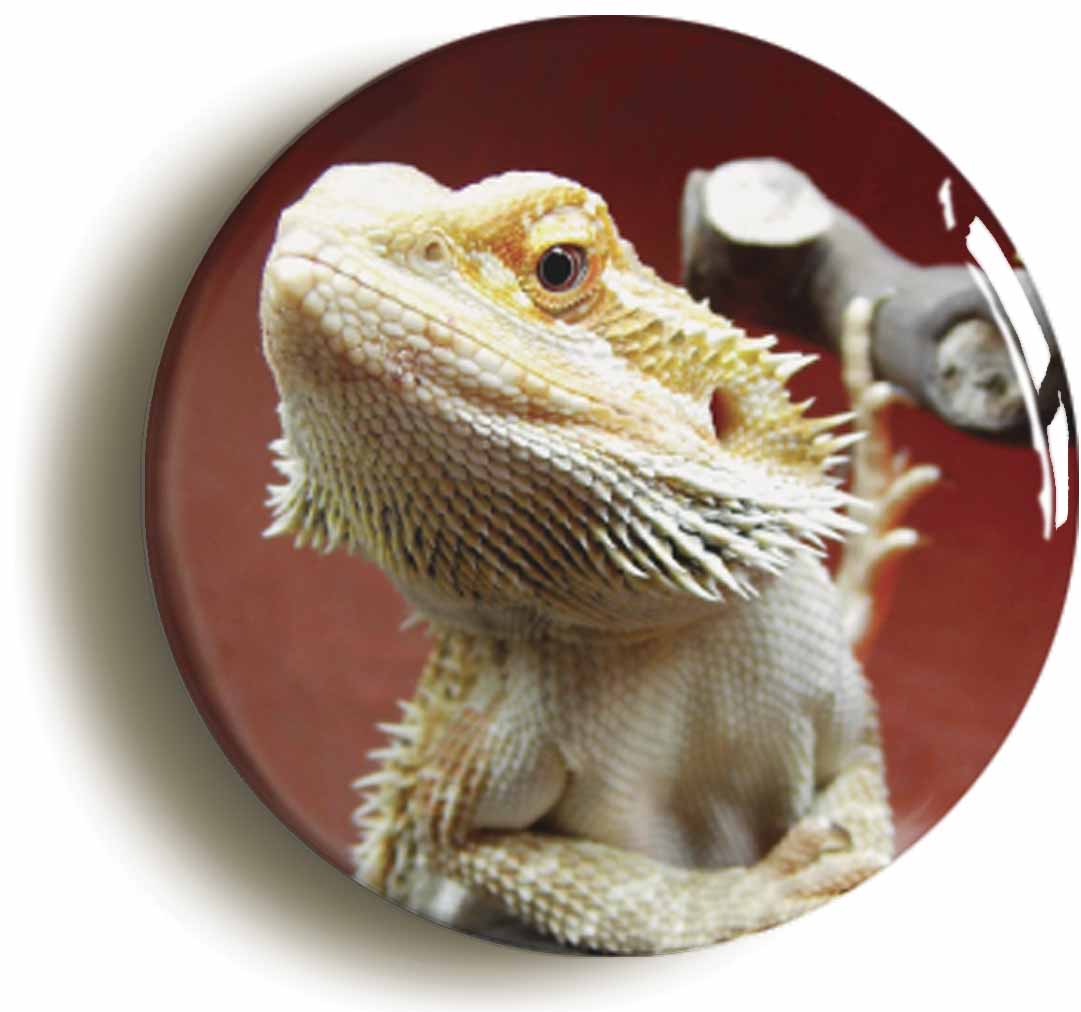 A picture of a button badge