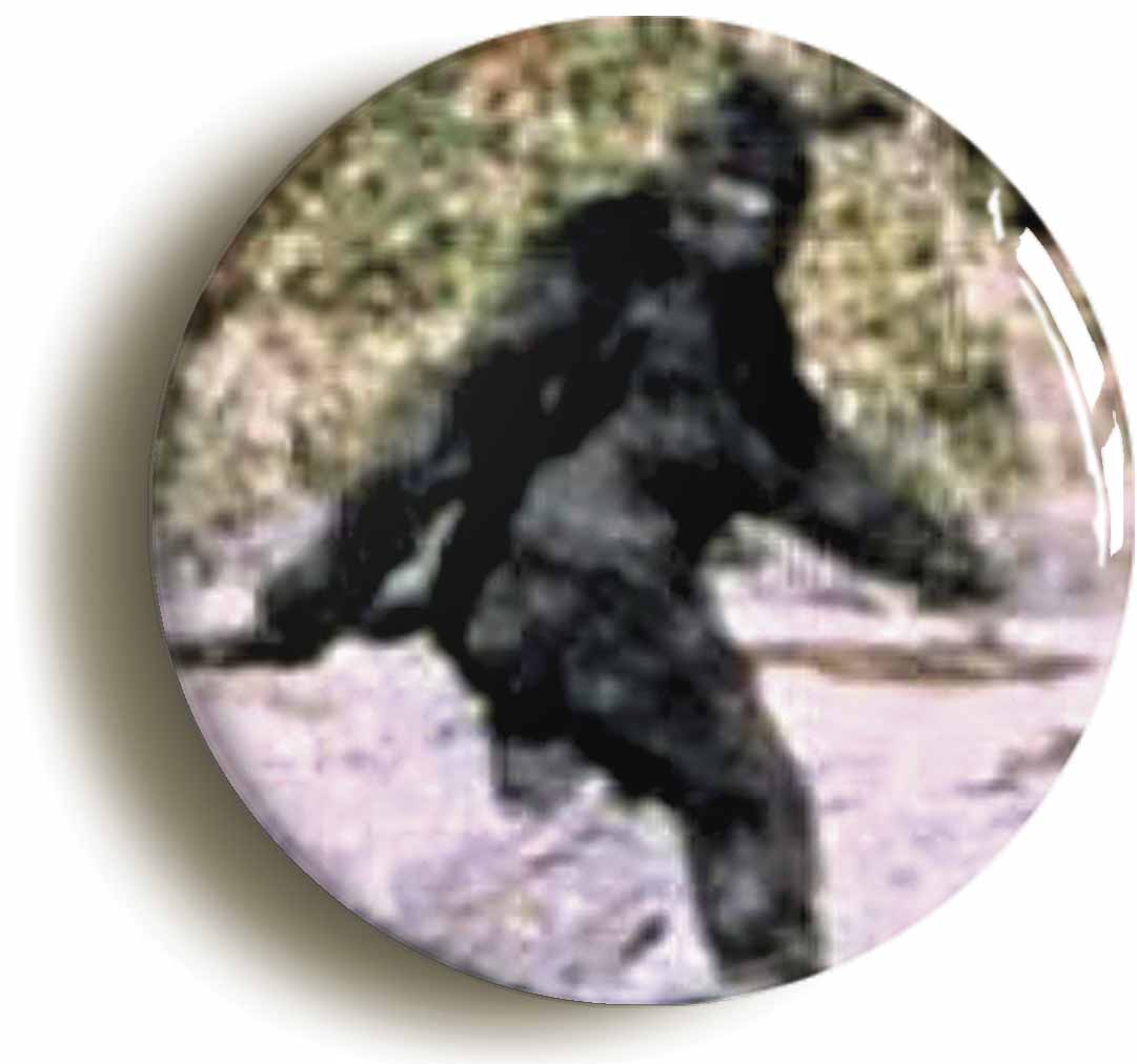A picture of a fridge magnet
