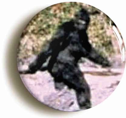 A picture of a fridge magnet