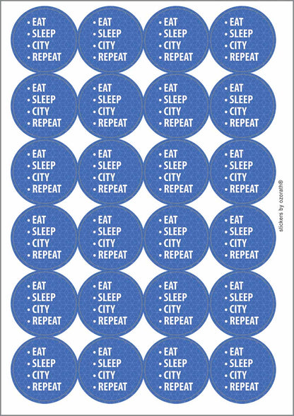 A picture of an A4 sheet of matte paper stickers