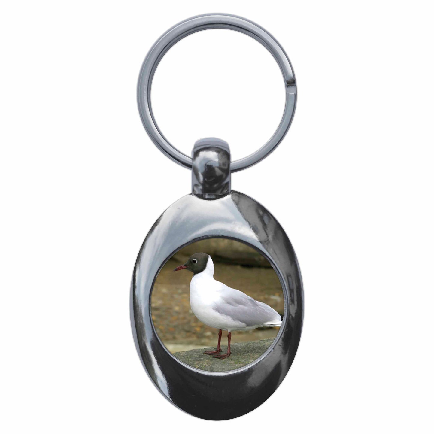 A picture of the front of the product, titled Black Headed Gull Metal Keyring With Trolley Coin