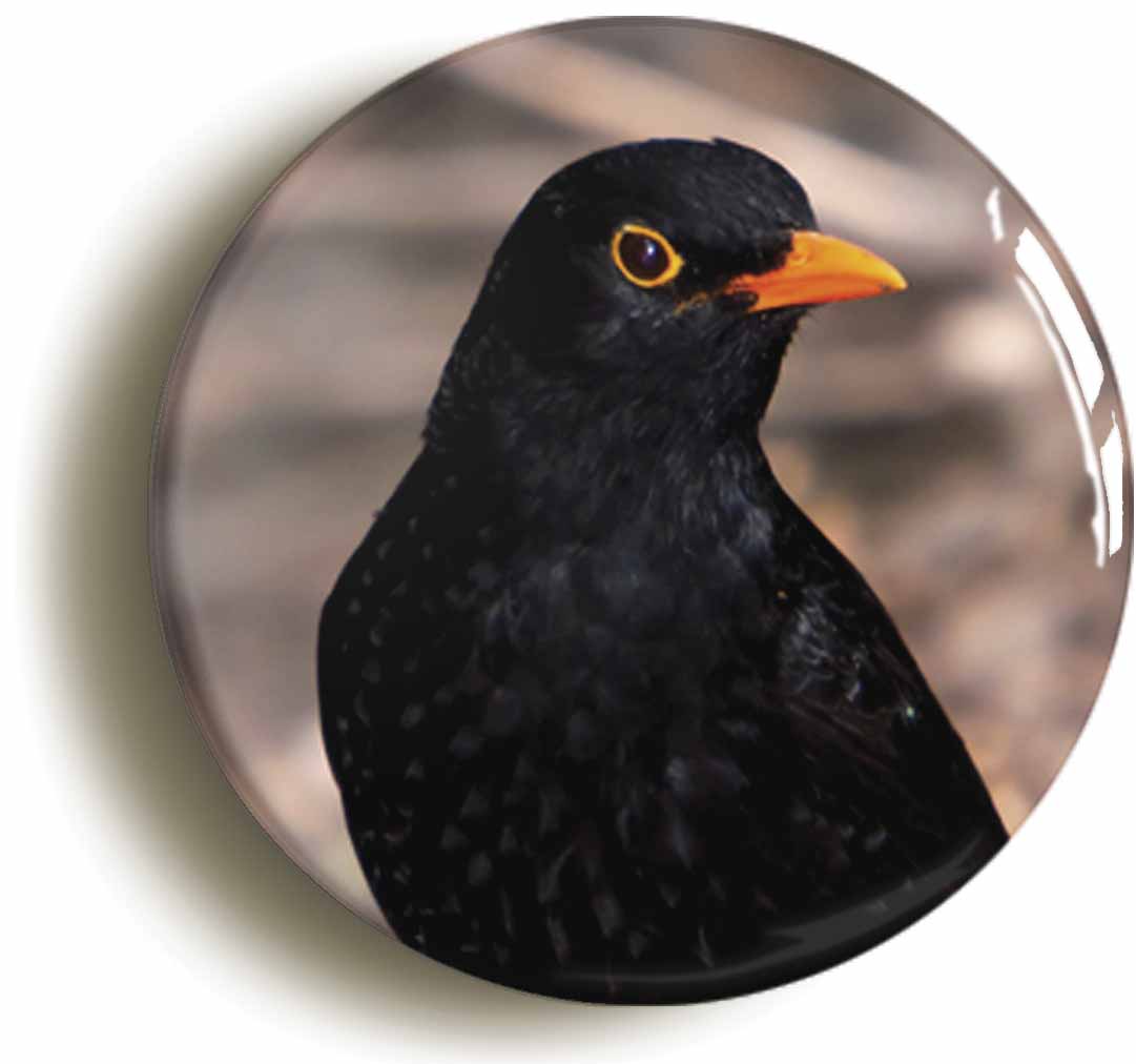 A picture of a fridge magnet