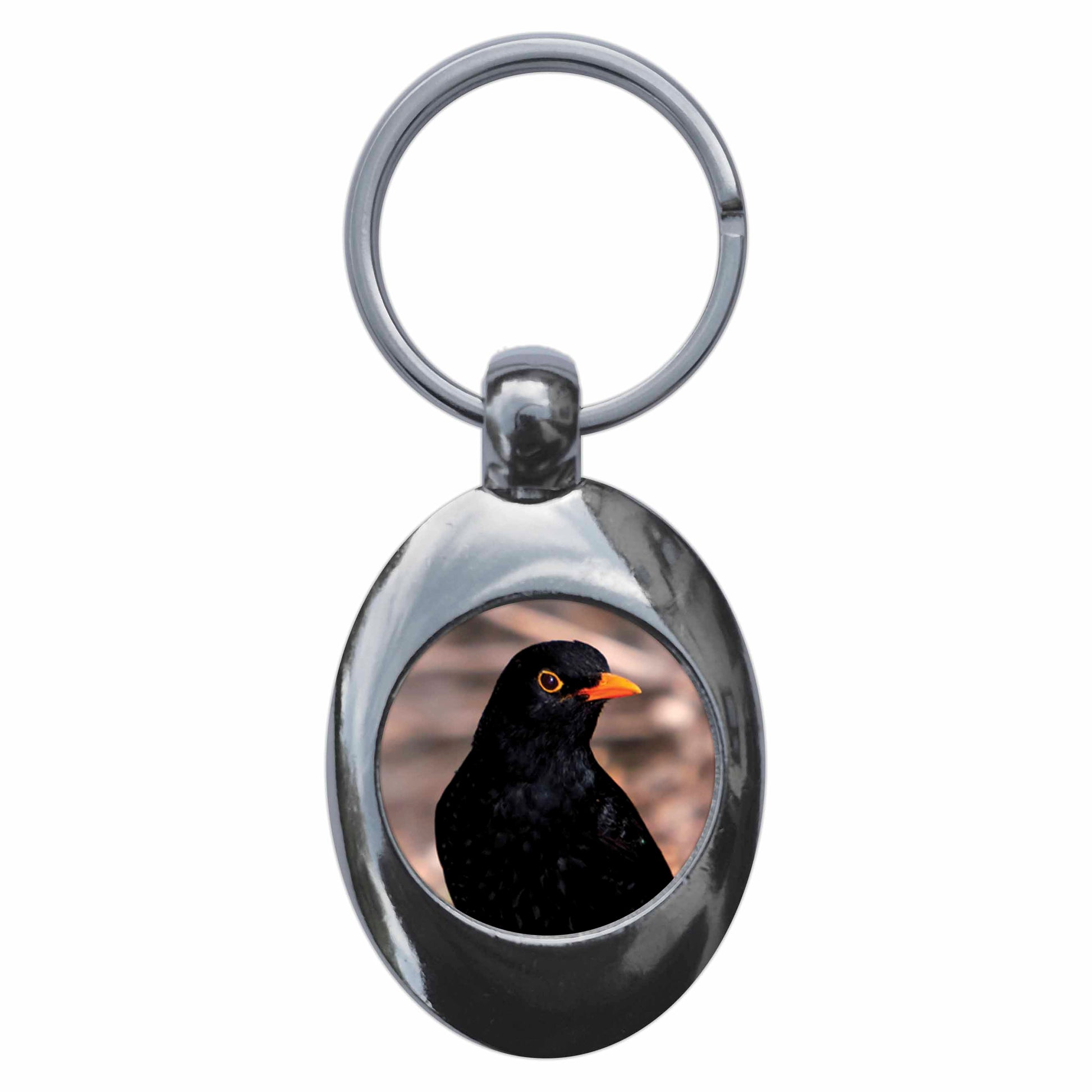 A picture of the front of the product, titled Blackbird Metal Keyring With Trolley Coin