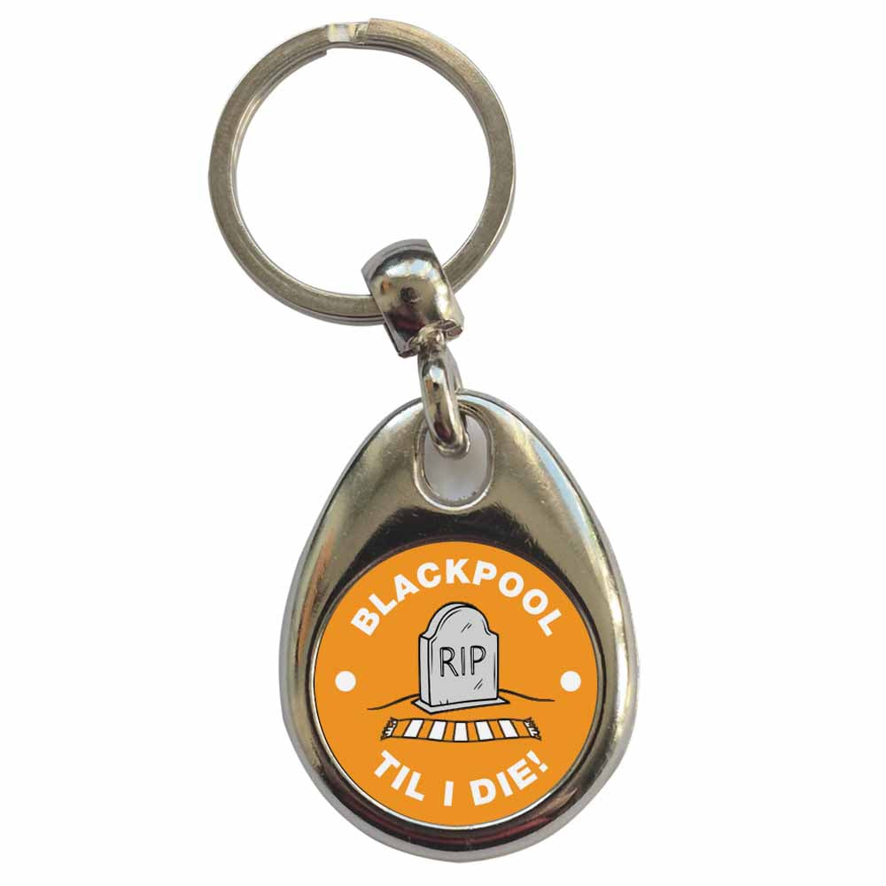 An image of a plain metal keyring