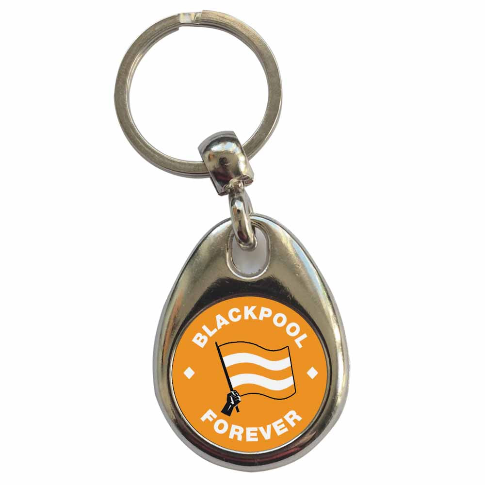 An image of a plain metal keyring