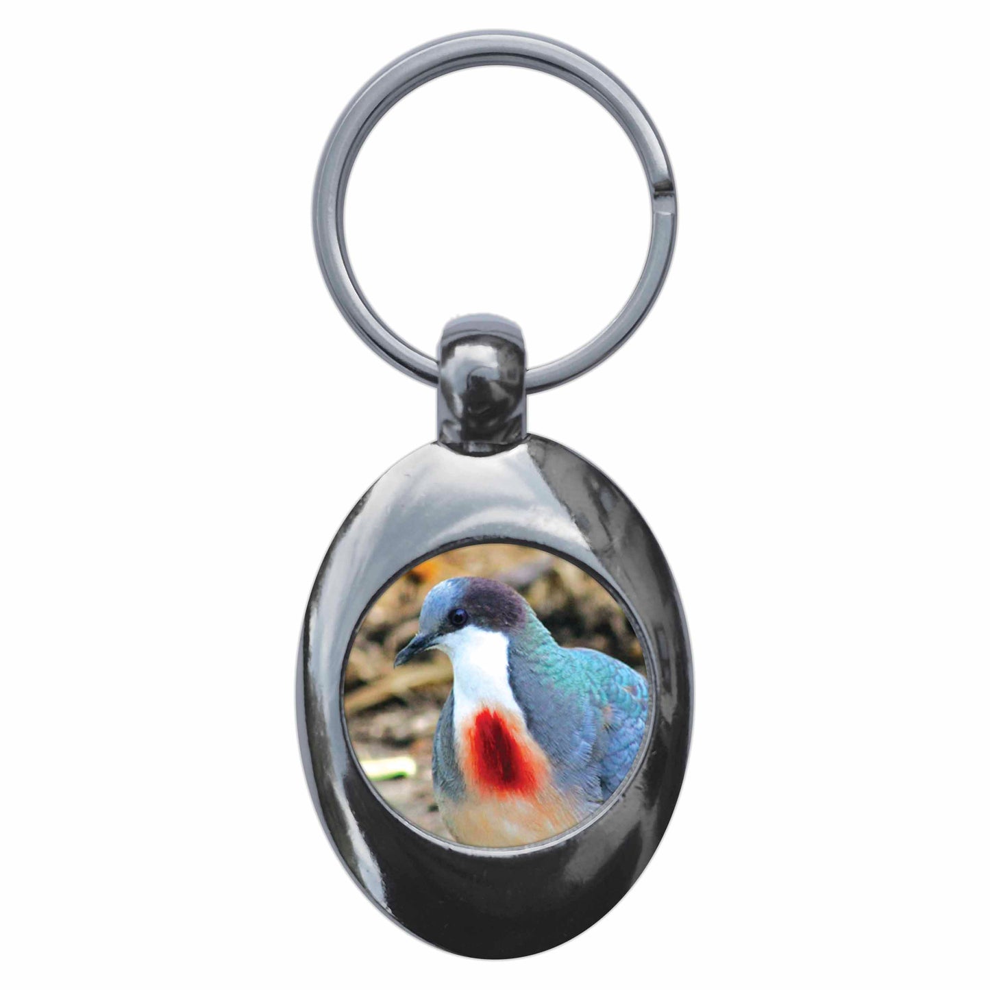 An image of a keyring