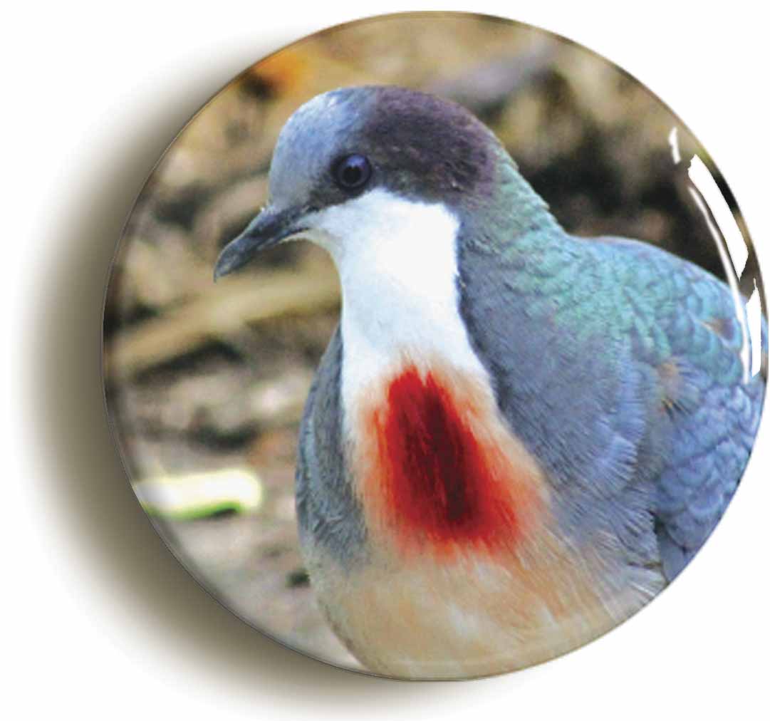 A picture of a fridge magnet
