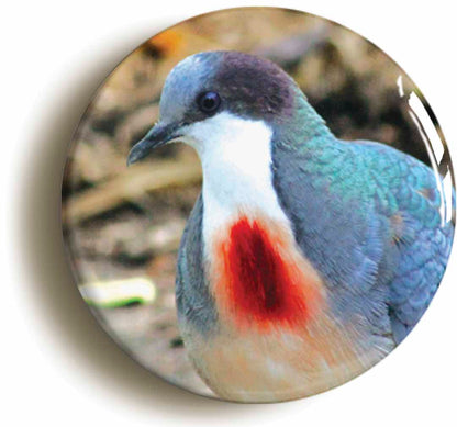 A picture of a button badge