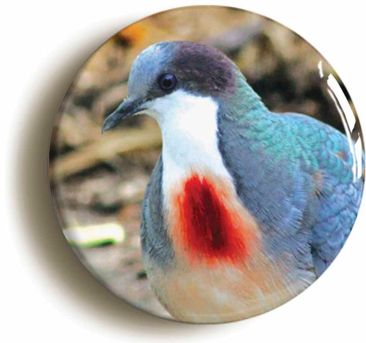 A picture of a fridge magnet