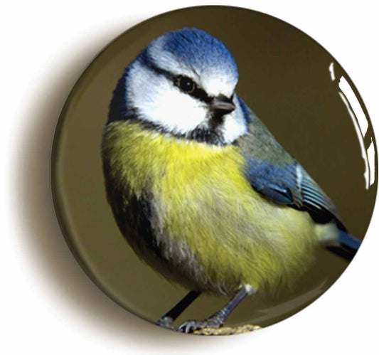 A picture of the front of the product, titled Blue Tit Circular 50mm Fridge Magnet