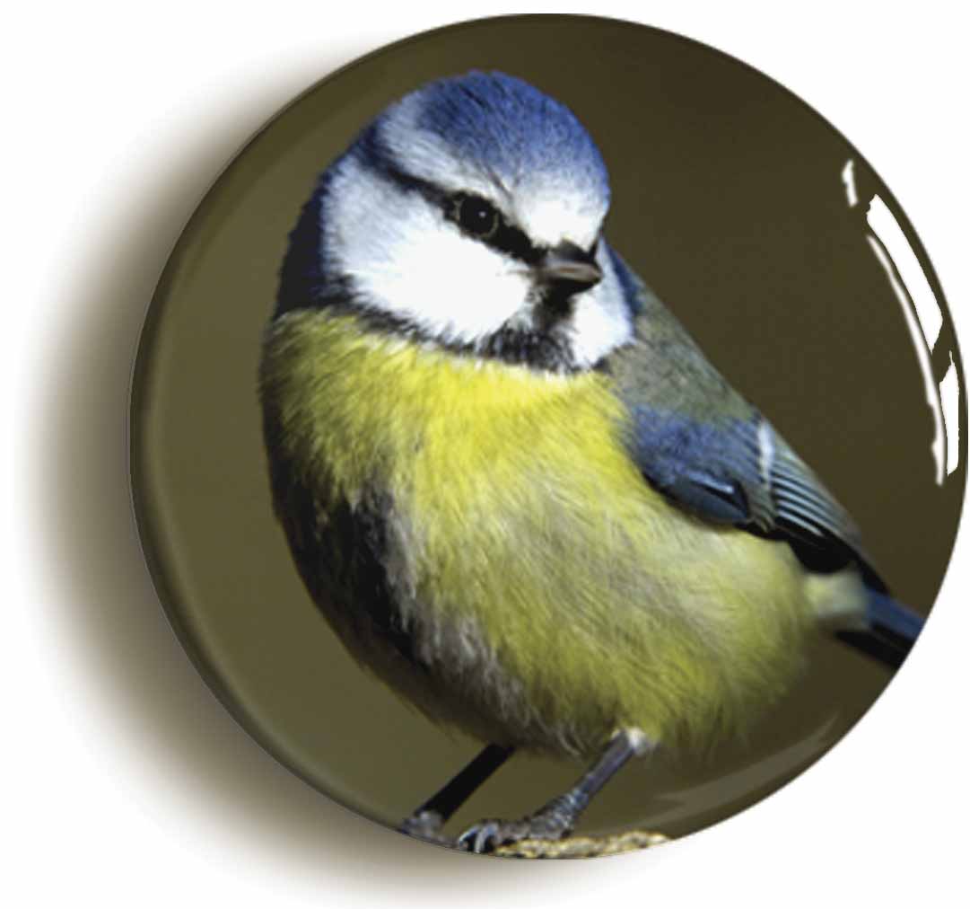 A picture of a fridge magnet