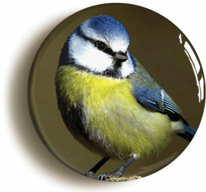 A picture of a fridge magnet