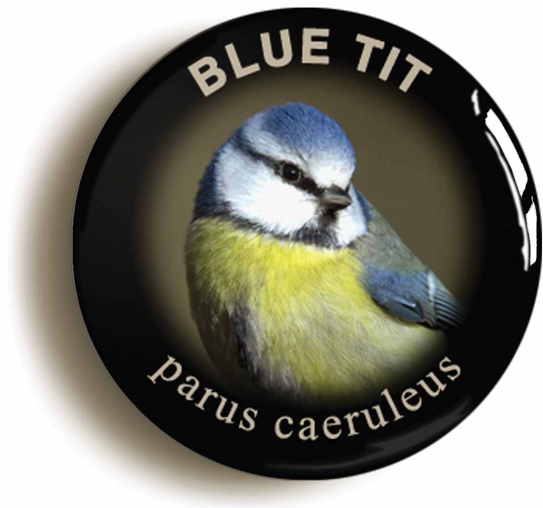 A picture of the front of the product, titled Blue Tit Parus Caeruleus Bird Watching Button Pin Badge