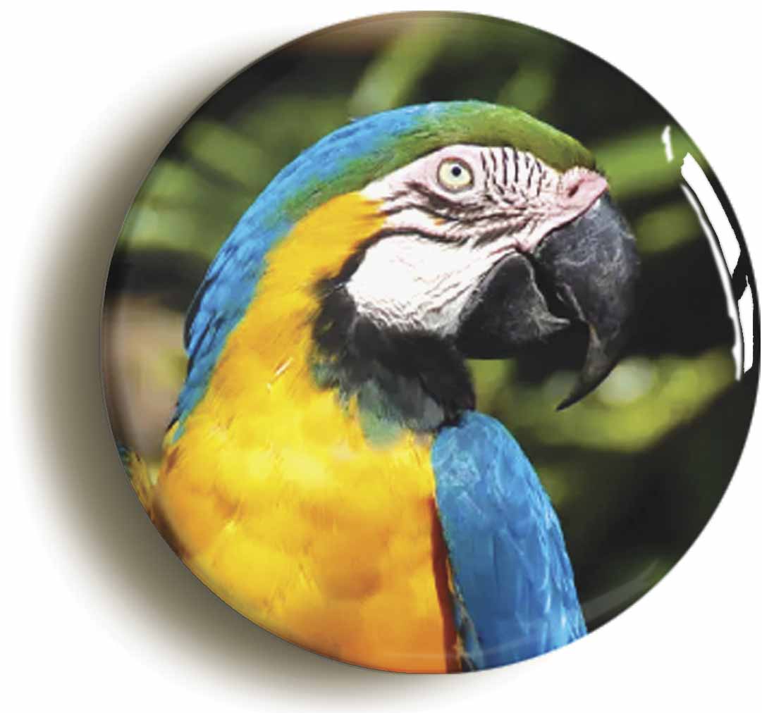 A picture of a button badge