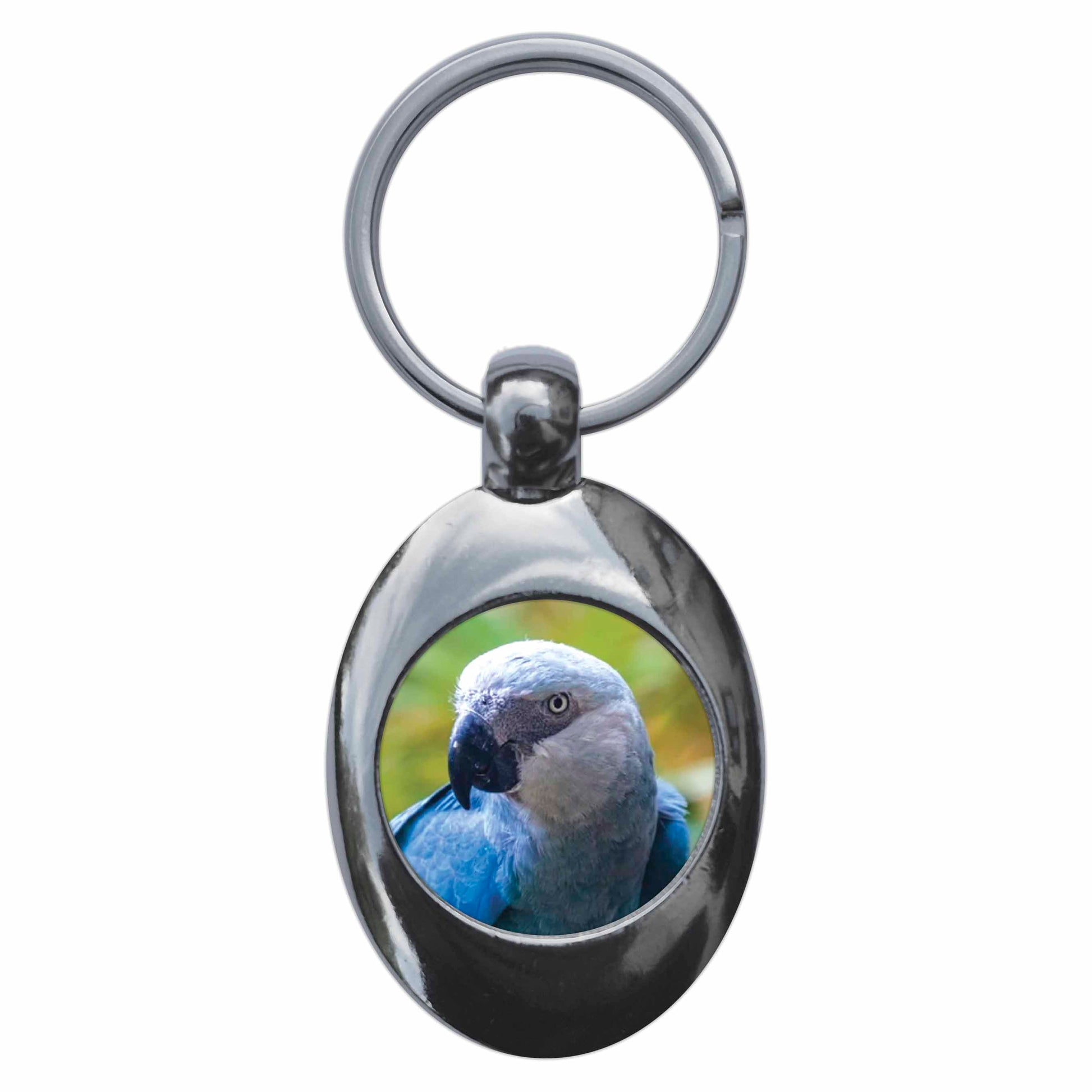 An image of a keyring