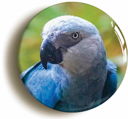 A picture of a button badge