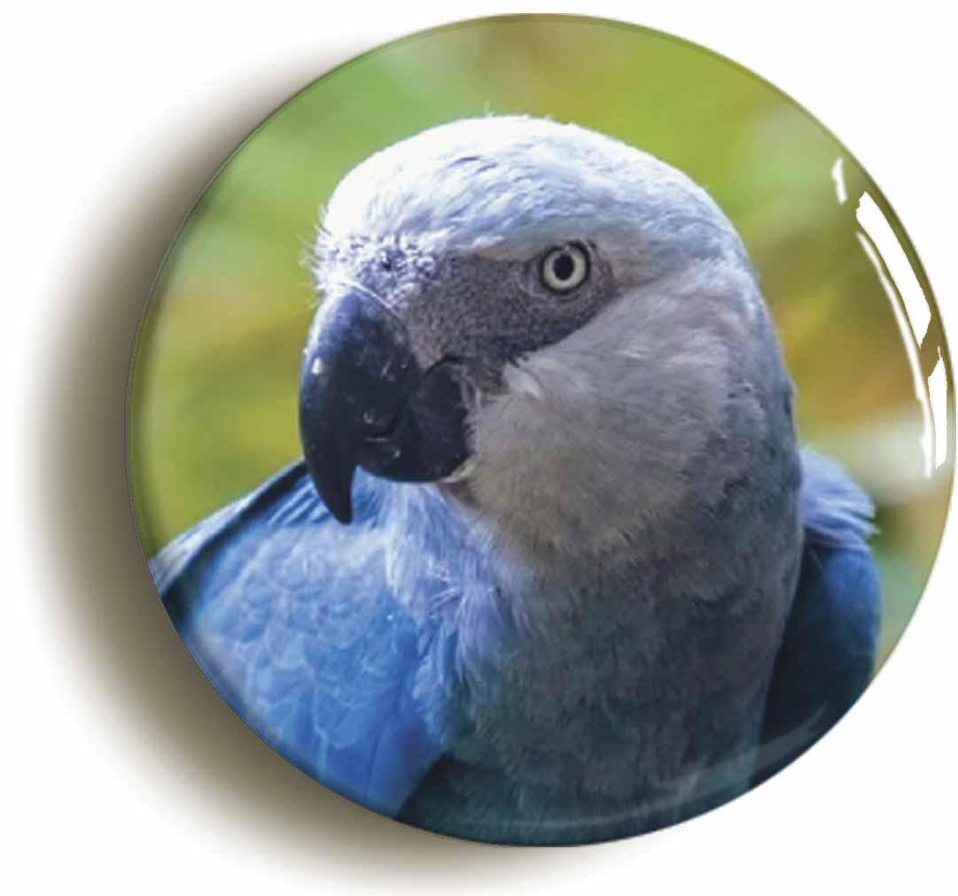 A picture of a fridge magnet