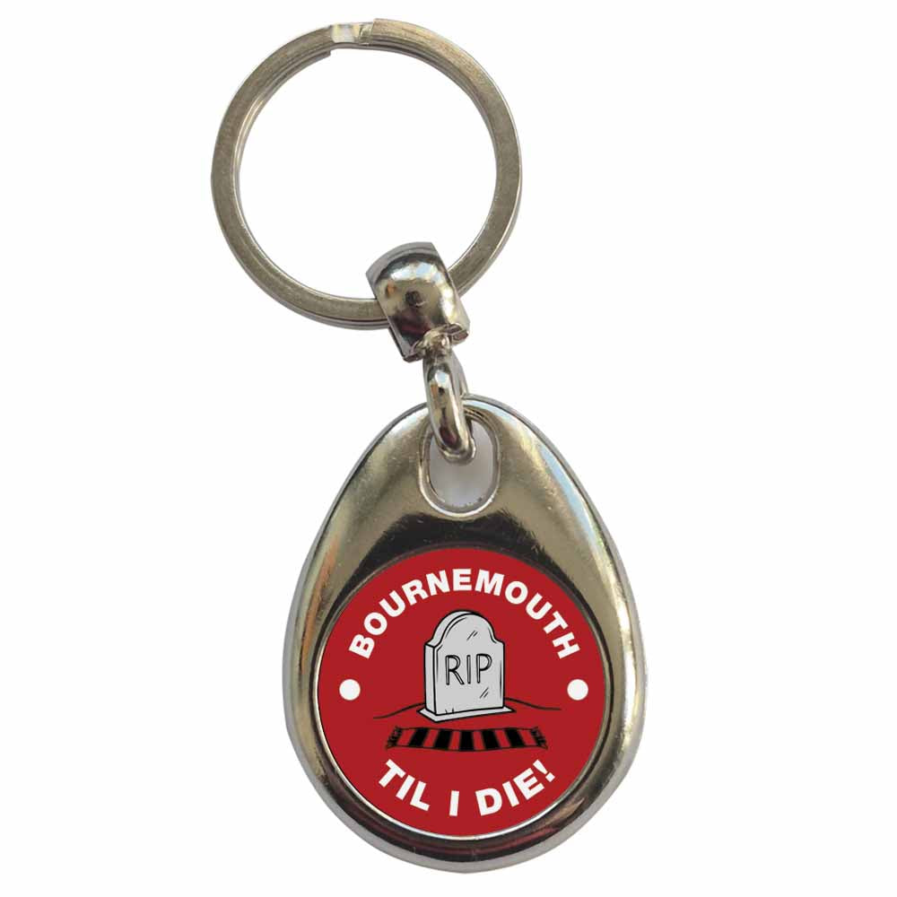 An image of a plain metal keyring