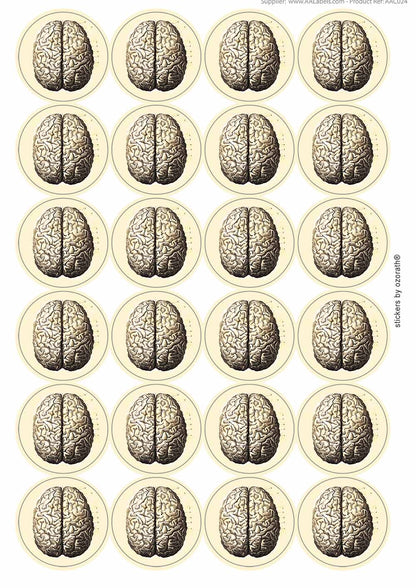 A picture of an A4 sheet of matte paper stickers