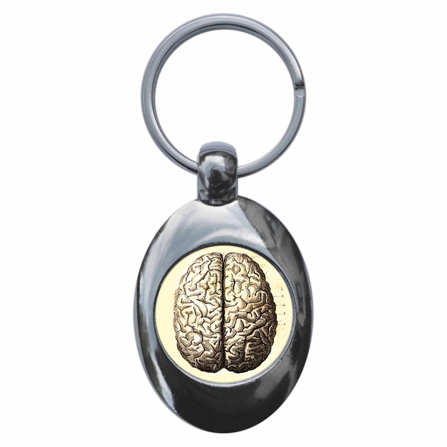 A picture of the front of the product, titled Human Brain Anatomy Diagram Metal Keyring With Trolley Coin