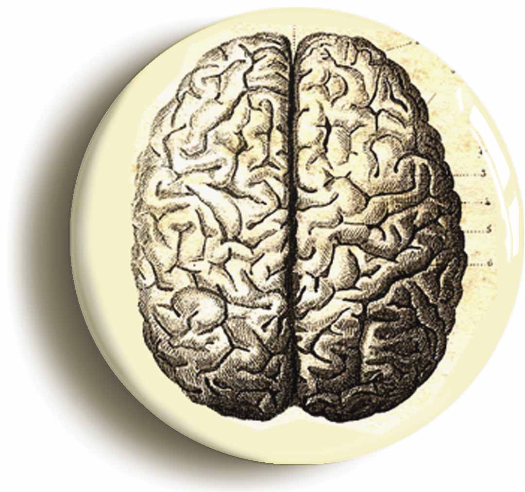 A picture of a button badge