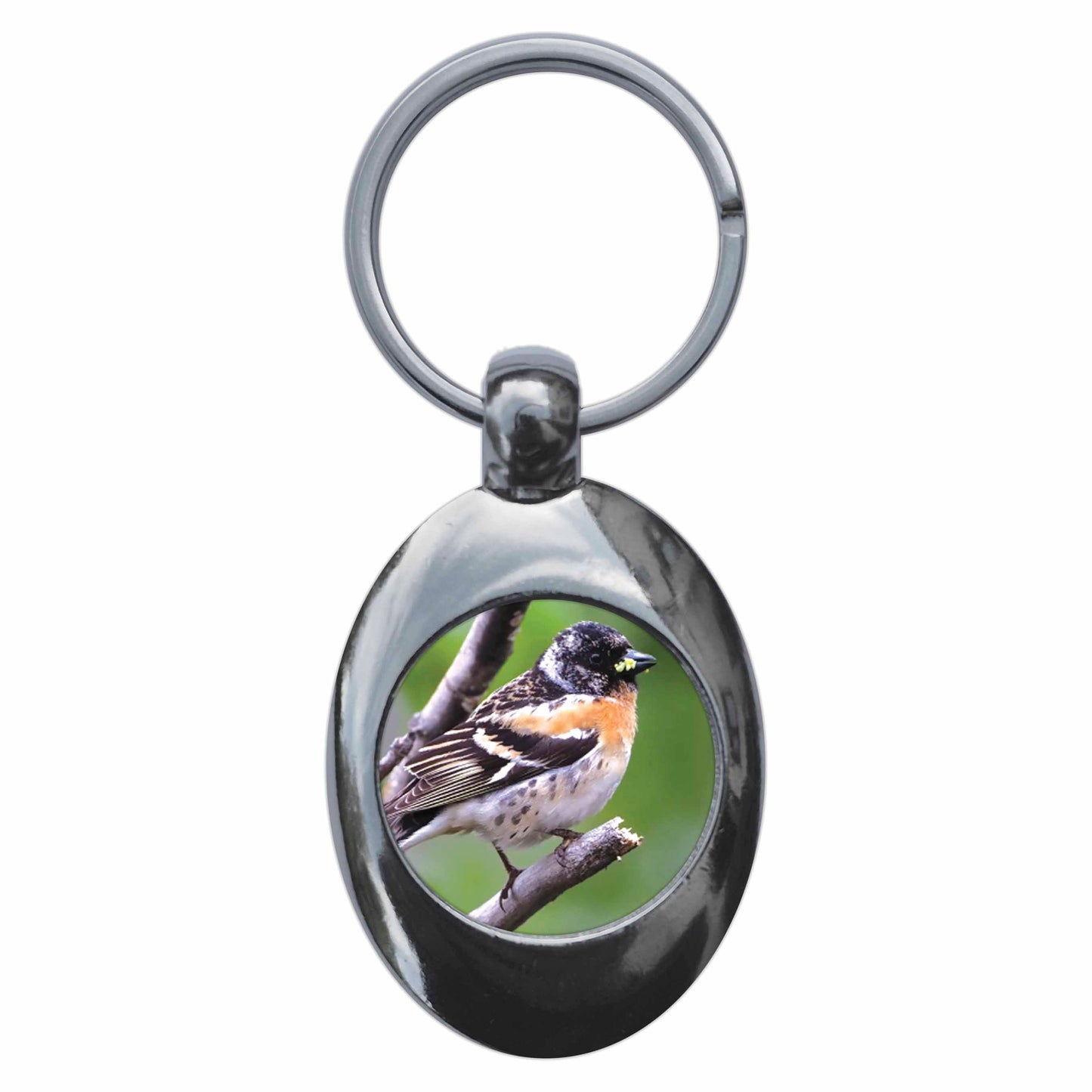 An image of a keyring