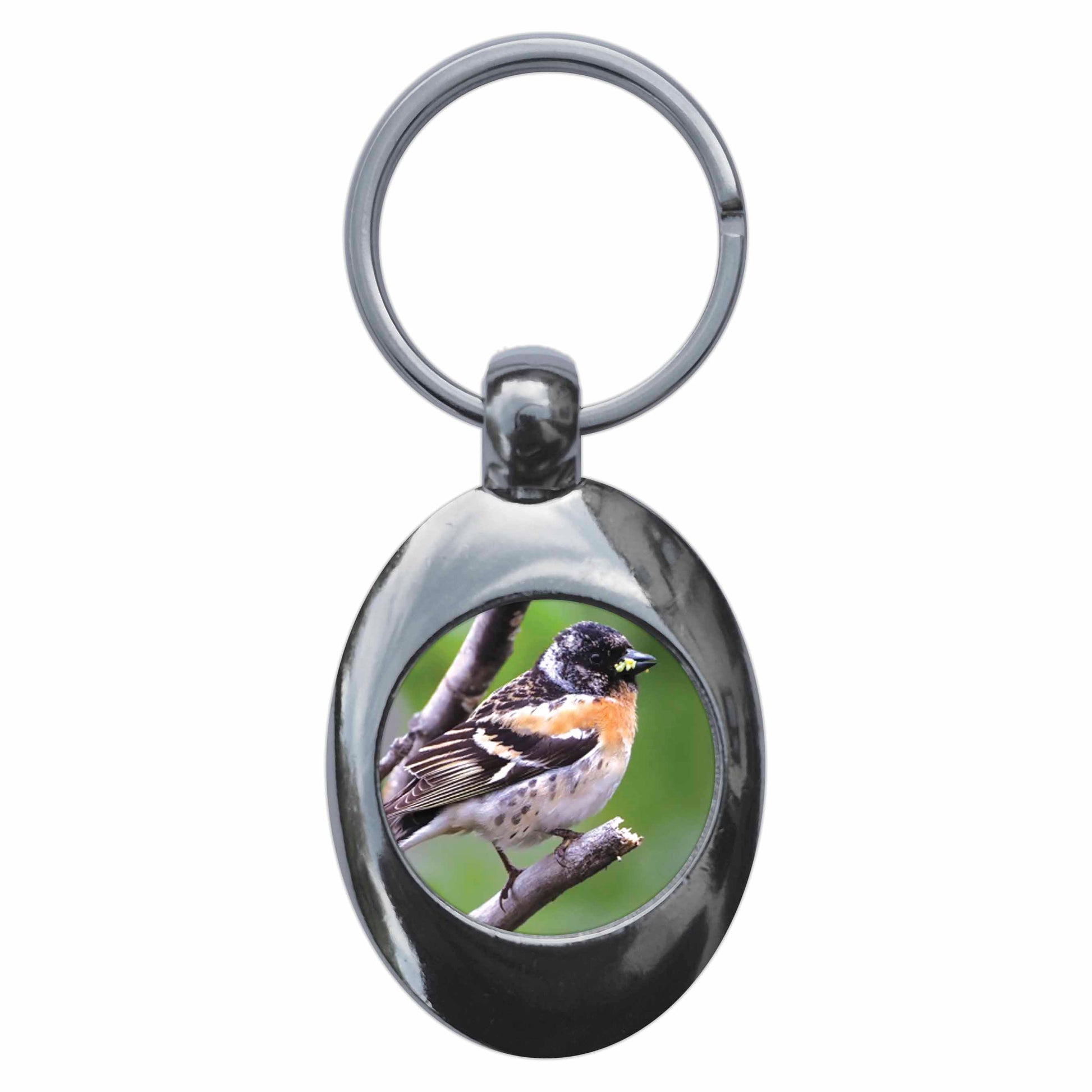 An image of a keyring