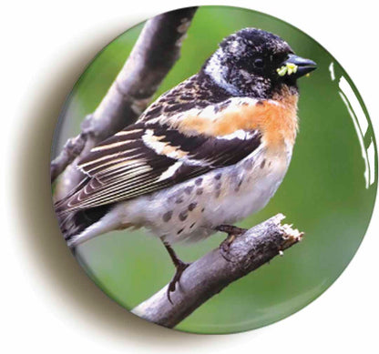 A picture of a button badge