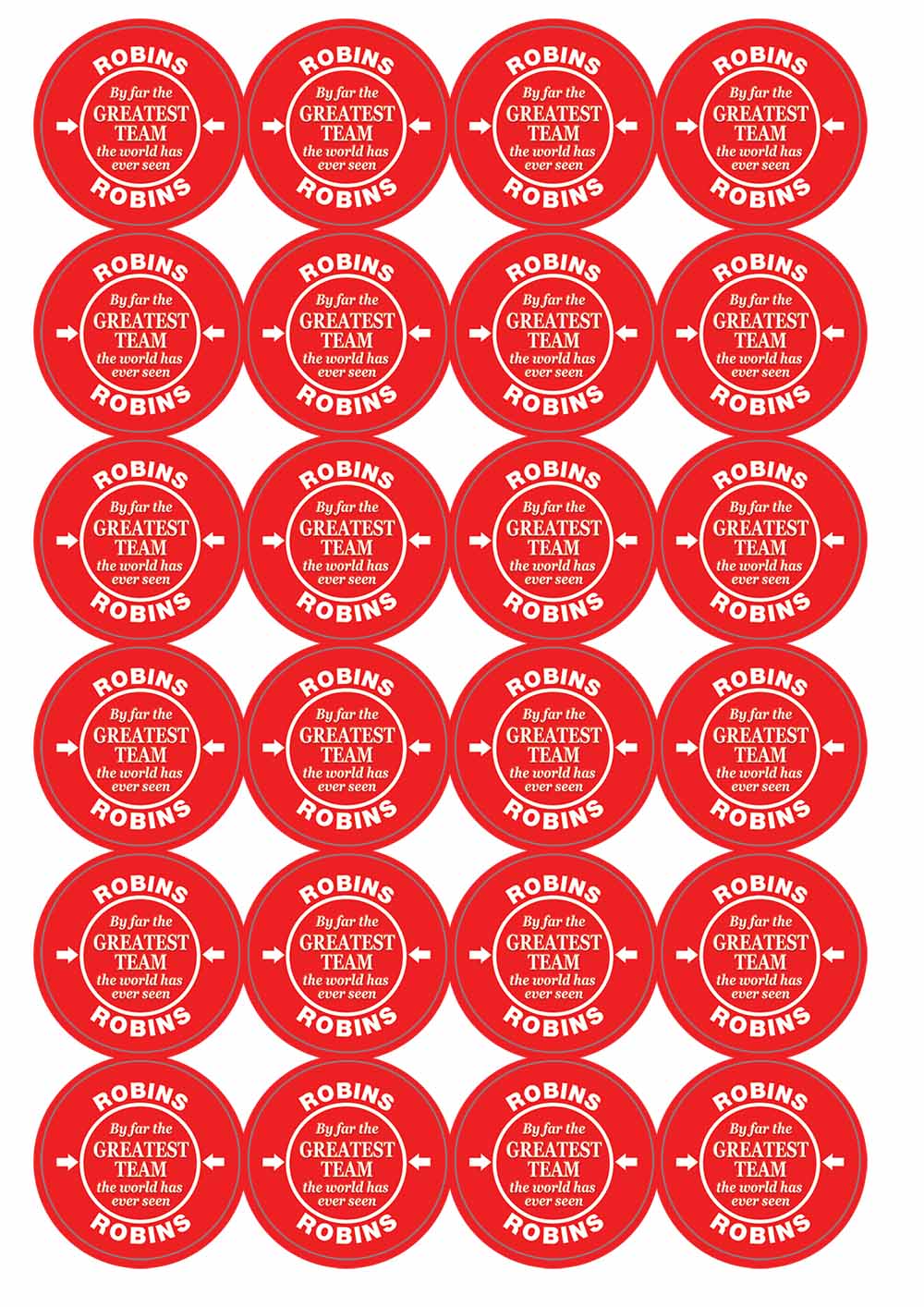 A picture of an A4 sheet of matte paper stickers