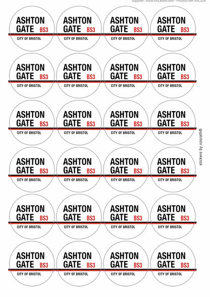 A picture of an A4 sheet of matte paper stickers