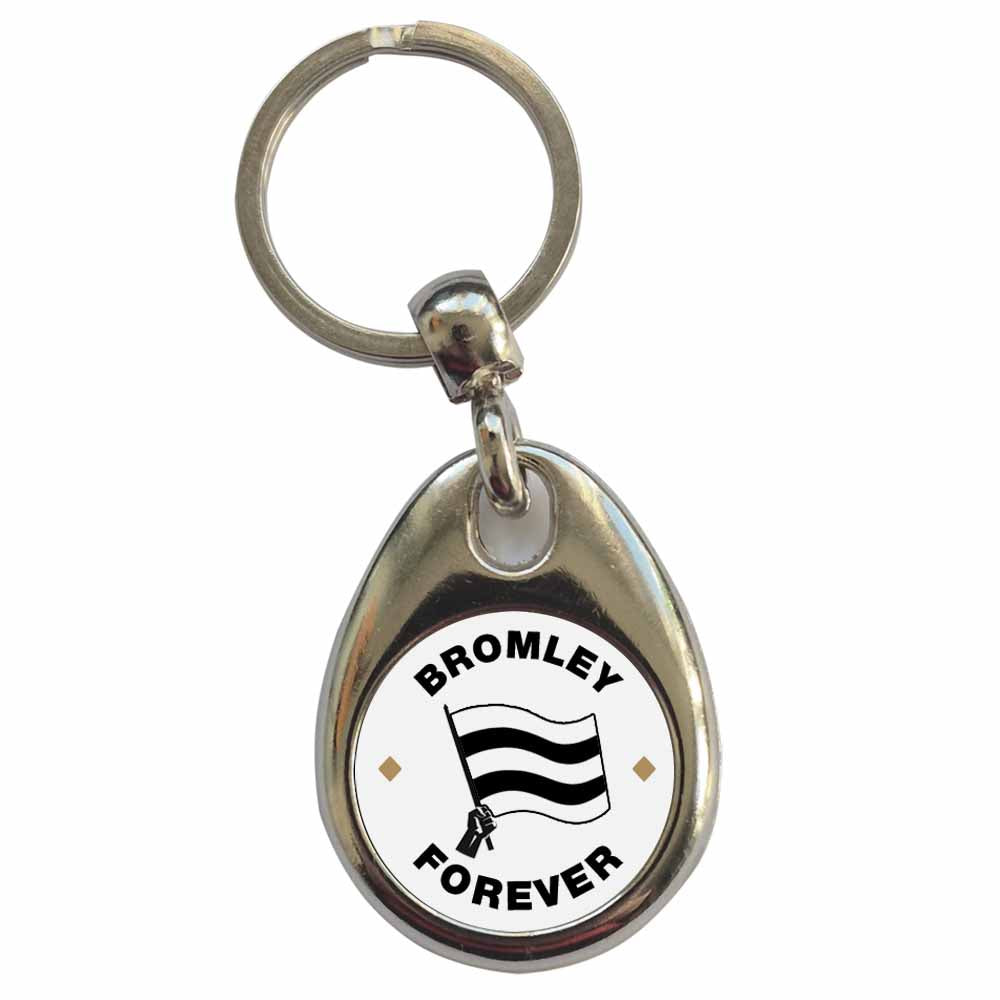 An image of a plain metal keyring