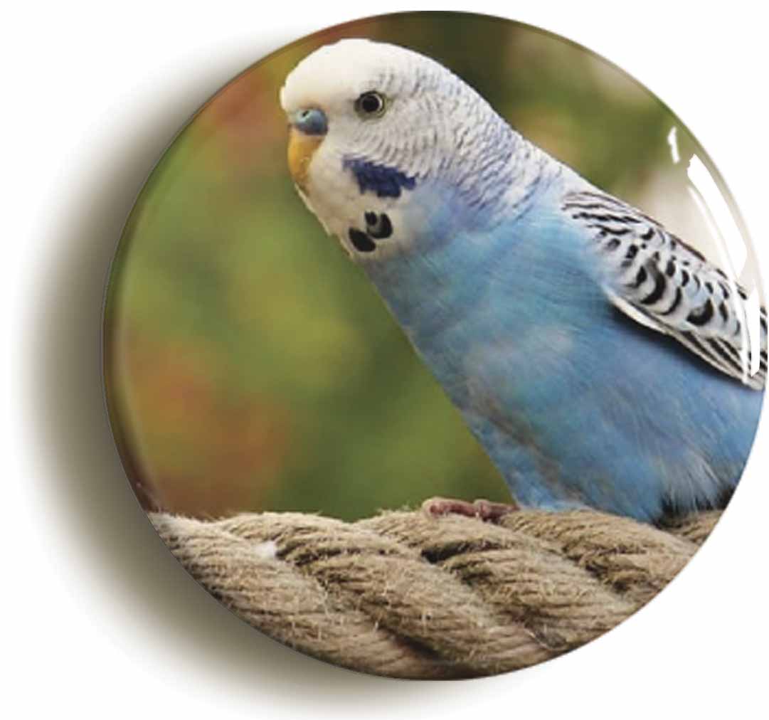 A picture of a button badge